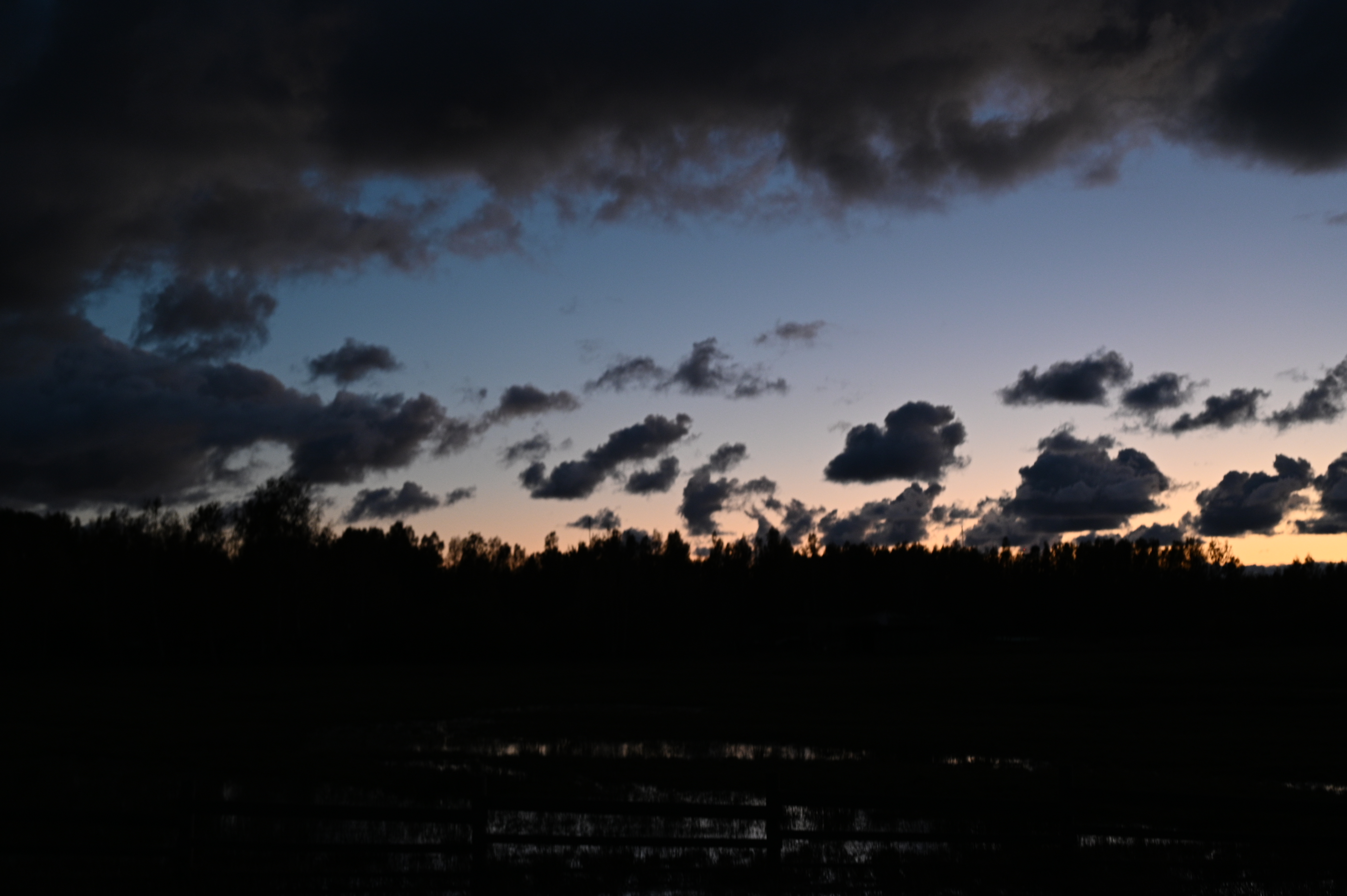 2025/10/18 - walk/DSC_0664.JPG